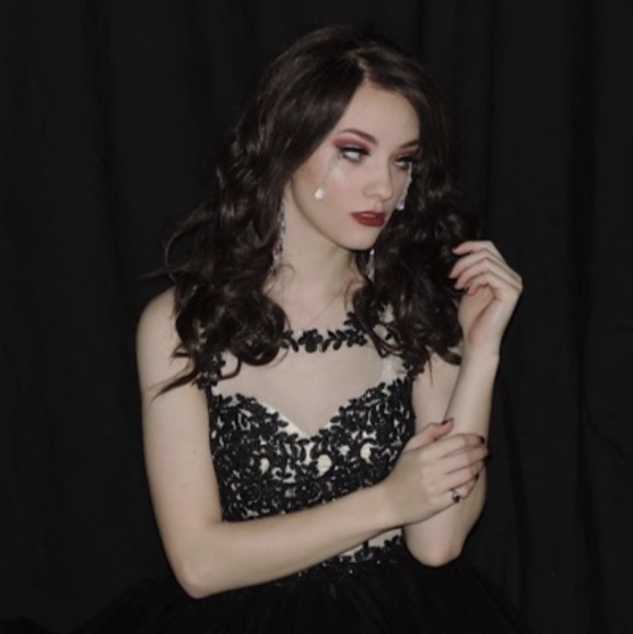 Meet your Posher, Harley - Picture 1 of 1